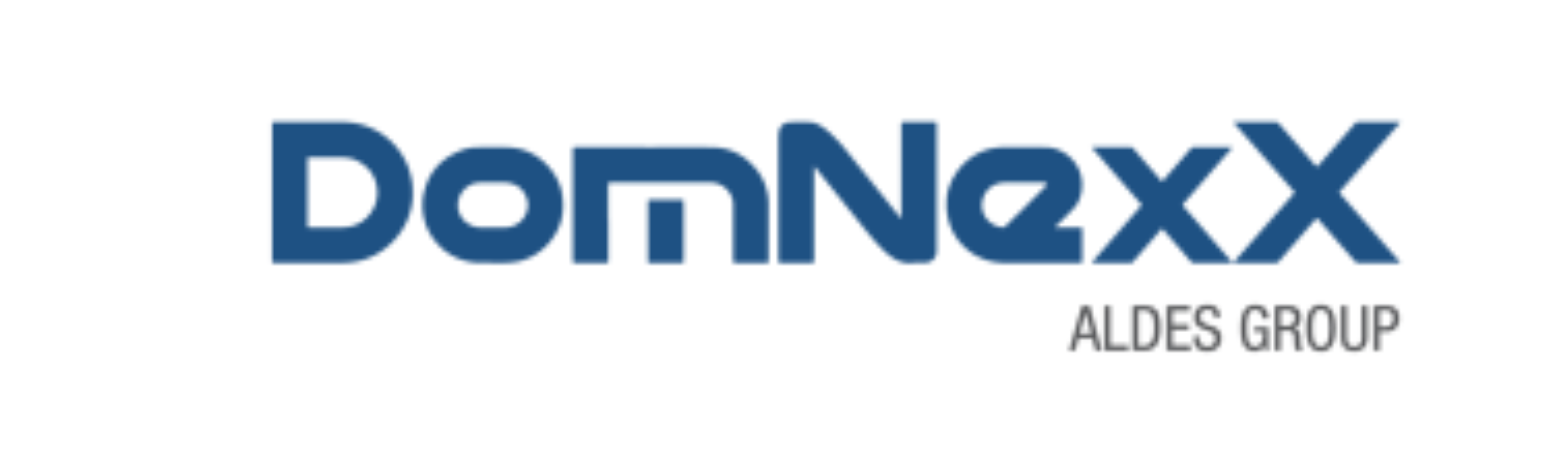 Logo DomNexX bleu footer