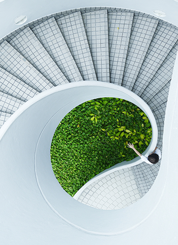 Round stairway in nature with green grass