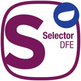 Selector DFE